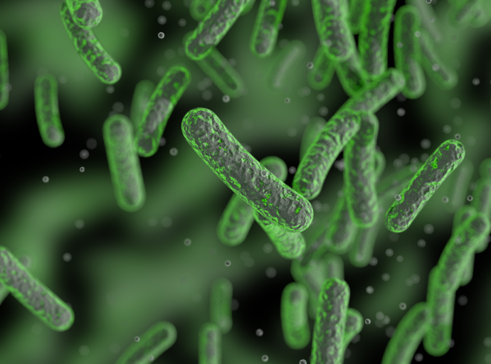 Sin reducción de enfermedades humanas por Salmonella causada por aves de corral