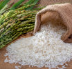 Precio elevado del arroz pone en riesgo la seguridad alimentaria