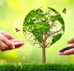 Día Mundial del Medio Ambiente: la importancia de una alimentación sostenible para el cuidado de nuestro planeta