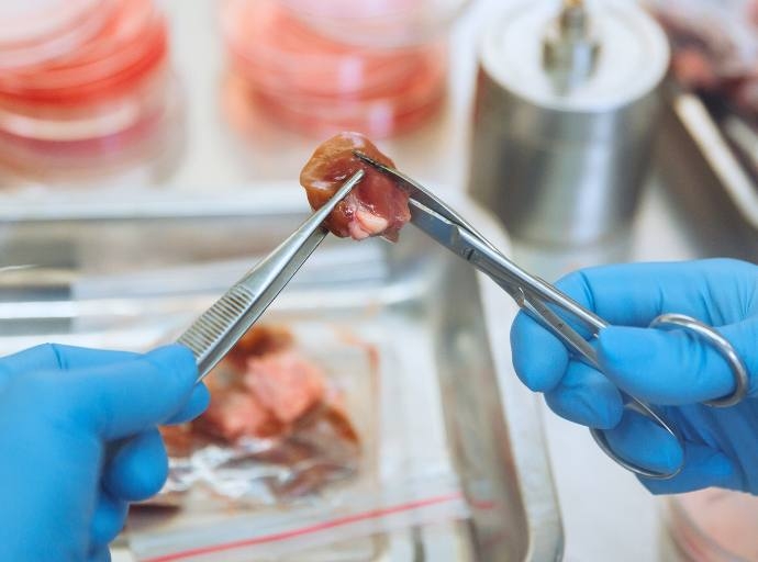 La inteligencia artificial aplicada a la industria alimentaria centrará la séptima edición de ftalks Food Summit