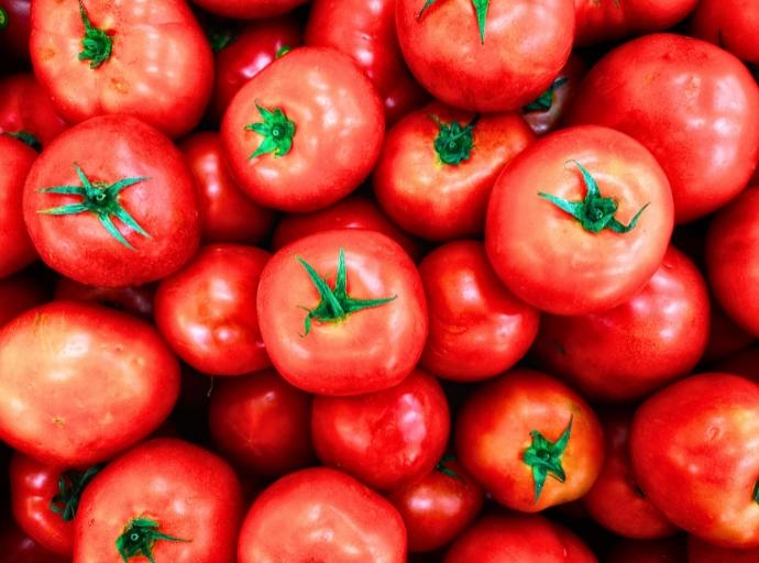 Importaciones de alimentos bajo escrutinio: el último índice FOODAKAI revela que EE. UU. y China son los principales rechazos fronterizos mundiales