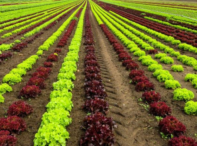18 de junio: Día de la Gastronomía Sostenible